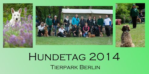 Hundetag Tierpark Berlin 2014 Collage