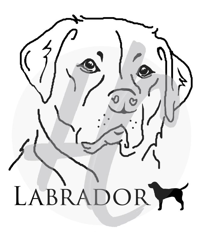 Labrador mit Logo